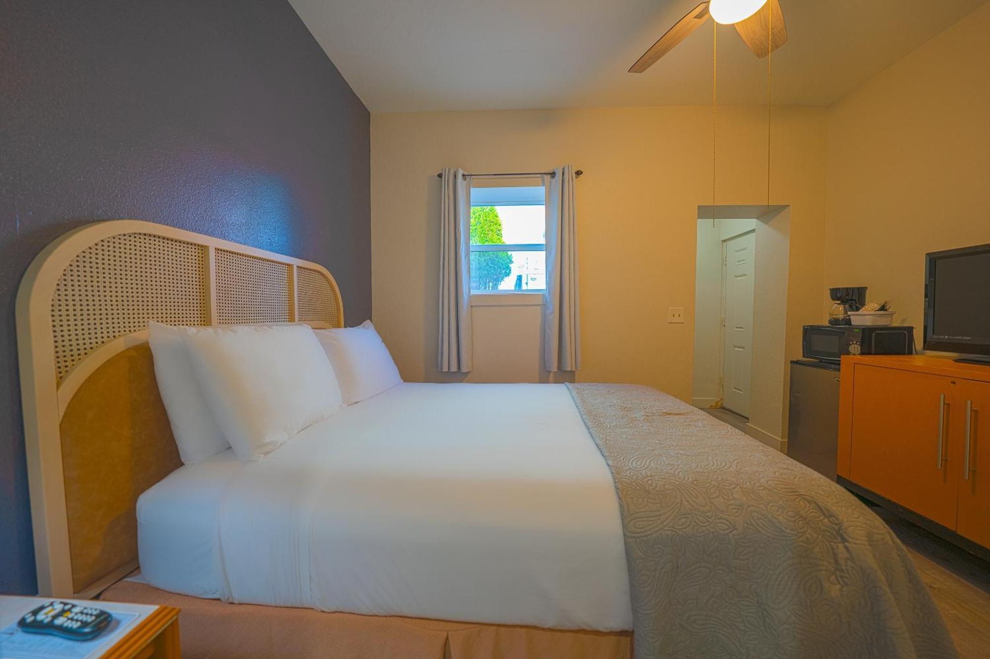 City Centre Motel By Oyo Seaside Extérieur photo